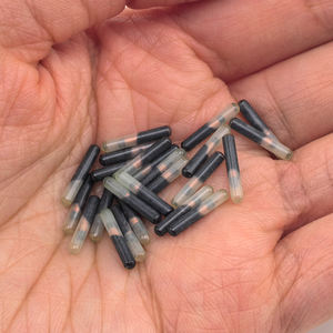 2,12*12 мм Мини RFID отслеживание животных Micro <span class=keywords><strong>Chip</strong></span> EM4305 134,2 кГц частота - Product Image 5