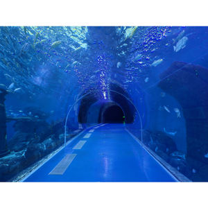 Vente directe d'usine grand <span class=keywords><strong>tunnel</strong></span> <span class=keywords><strong>sous</strong></span>-<span class=keywords><strong>marin</strong></span> d'aquarium acrylique écologique personnalisé planification d'ingénierie d'océanarium - Product Image 1