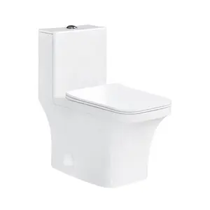 S-trap Modern Dual Flush Satu Potong, Perlengkapan Sanitasi Kamar Mandi Keramik Toilet