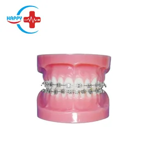 HC-S426 चिकित्सा मौखिक सामान्य तय सुधारने मॉडल दांत/दंत Orthodontic दांत मॉडल