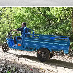 CARGO Motorcycle 3 Wheel GW Delivery Transport Pickup Express Shipment Tricycles Tuk Tuk Petrol Bike Three-wheeled Electric Car