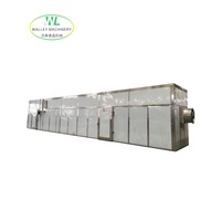 Aangepaste PLC-gestuurde roestvrijstalen 304 fruit- en groente droogmachine met transportwagen en stoomtunnel, capaciteit 2,5T-10T