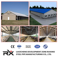 Bâtiment modulaire préfabriqué RuiXing moderne 40x60 pour élevage de volailles, serre, entrepôt, atelier, structure en acier, garantie 5 ans