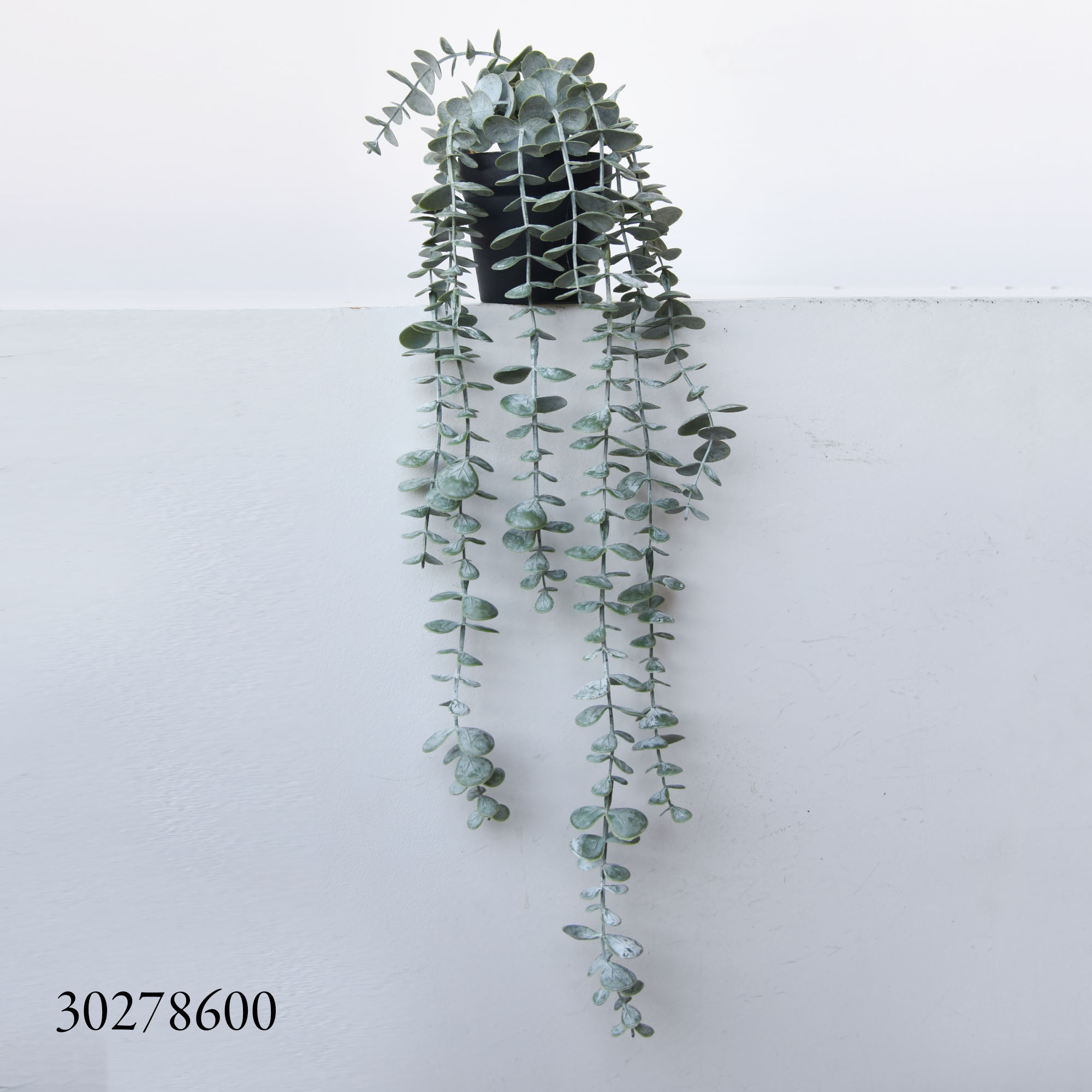 50 cm de longitud para colgar