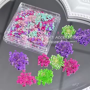 Nuevo modelo brillante de gama alta 3D Mini <span class=keywords><strong>flores</strong></span> secas <span class=keywords><strong>flores</strong></span> reales secas naturales calcomanías <span class=keywords><strong>para</strong></span> decoración de <span class=keywords><strong>uñas</strong></span> pegatinas Premium <span class=keywords><strong>para</strong></span> arte de <span class=keywords><strong>uñas</strong></span> - Product Image 4