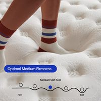 Matelas Hybride à Ressorts Intérieurs de Lit en Mousse Rembourrante Queen Size pour Hôtel en Mousse Utilisé Matelas Hybride à Ressort de Poche en Mousse à Mémoire de Forme