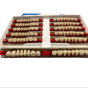 Prothèse dentaire manuelle complète <span class=keywords><strong>en</strong></span> acrylique Fausses dents <span class=keywords><strong>en</strong></span> résine synthétique Dents supérieures et inférieures - Product Image 6