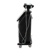 Máquina de Microdermoabrasión Vertical con Punta de Diamante, con Martillo de Hielo, Antienvejecimiento, para Suavizar y Reafirmar el Rostro, para Salón de Belleza