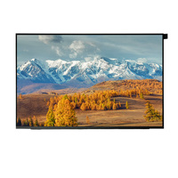 Dizüstü Bilgisayar Ekranı 16.0" BOE NV160WUM-N31 A Sınıfı LCD Ekran 16 İnç 1920x1200 WUXGA EDP 30pin İsteğe Bağlı Dokunmatik Ekran USB Bağlantı Noktası