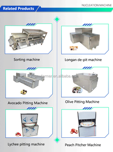 เครื่องตัดนิวเคลียสและมะกอกอัตโนมัติอเนกประสงค์เครื่องตัดแอปเปิ้ล - Product Image 5