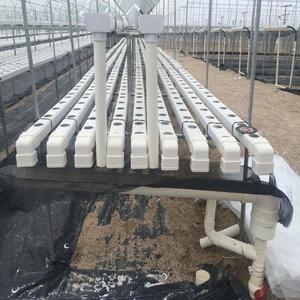 Salade Laitue Fraise Germes <span class=keywords><strong>de</strong></span> soja Nourrir À peine Récolte Rapide Culture hydroponique à haut rendement Système d'irrigation agricole - Product Image 3