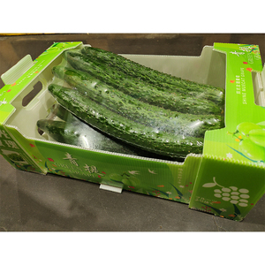 Yuexin kích thước tùy chỉnh chuối khoai tây cam sóng vận chuyển hộp ply3 5 tông giấy carton không thấm nước PP SPC xử lý thư mục - Product Image 3