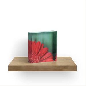 Support photo personnalisé en acrylique DIY, imprimé en couleur, pour <span class=keywords><strong>anime</strong></span> et personnages de jeux, décoration murale, forme personnalisée, économique, ornement de collection - Product Image 5