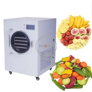 Lyophilizador máquina de secagem por congelamento, vácuo industrial oem, preço de laboratório para alimentos, frutas e legumes, mini máquina de secagem de congelamento, nas philipinas