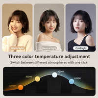 Lampe d'appoint rechargeable portable mini pour selfie, idéale pour téléphone, tablette et ordinateur portable