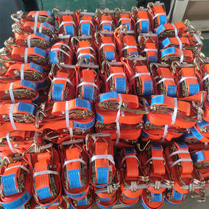 Correas de Amarre Multiusos, Correas de Sujeción Ajustables de Alta Resistencia con Hebilla de Leva para Camiones de Carga, Equipaje y Remolques - Product Image 1