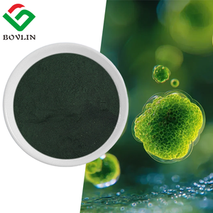 ผงคลอเรลล่าออร์แกนิกขายส่ง ผงคลอเรลล่าวัลการิส 100% ราคาดีที่สุด - Product Image 1