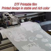 Papel de Transferencia Térmica DTF de una Cara Norman, Hojas A4 para Ropa, Material PET, Compatible con Impresoras de Inyección de Tinta Epson
