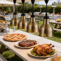 ORIX 250W Edelstahl Hängende Speisenwärmer-Lampe Umweltfreundliche Kommerzielle Infrarot-Wärmelampe für Buffet Restaurant Catering