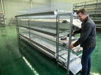 Cage à poules pondeuses de type H galvanisée à chaud, équipée d'un système de retrait automatique du fumier, équipement d'élevage avicole pour l'élevage de poules pondeuses
