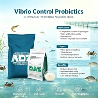 Complément de contrôle des Vibrio pour l'aquaculture : Traitement et soins quotidiens – Poudre de Bacillus améliorant le taux de survie et l'apport en nourriture