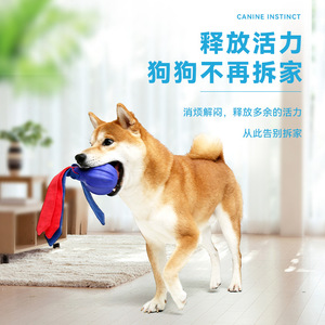 Canine Instinct <b>Dog</b> Toy TPR Foam Training <b>Ball</b> Durable Teeth Cleansing Outdoor Play For <b>Dogs</b> - Product Image 1