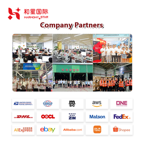 समरसता स्टार एयर कार्गो समुद्री माल भाड़ा फारवर्डर एफसीएल + एक्सप्रेस शिपिंग एजेंट चीन से अमेरिका ब्रिटेन तक - Product Image 5