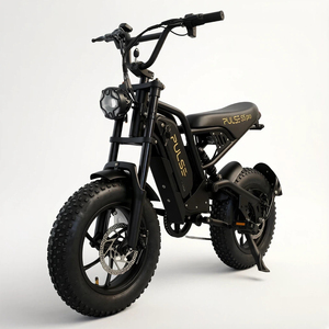Vélo électrique tout-terrain 48V avec moteur puissant, suspension intégrale et pneus larges pour enfants – Vente directe usine - Product Image 1