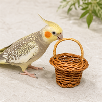 Panier miniature tressé en plastique fait main, jouet à mâcher pour oiseaux et perroquets, jouet suspendu pour la recherche de nourriture en cage, pour calops et petits oiseaux, vente en gros