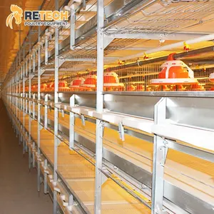 Poultry Farm H Type Automatic Bird Harvesting Battery Breeding Cages For Broiler Chicken