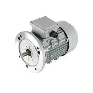 Moteur asynchrone à Induction triphasée haute efficacité Yej2 Ye3 Ye2 Cage d'écureuil 380V moteur ca électrique basse tension