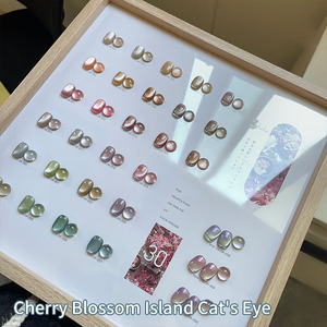 AILANU0 30 Color Cat Eye Gel Esmalte Set Nuevo Oem Venta al por mayor 15ml Moonlight Cerámica Jade Cat Eye Gel Polish Kit Fabricante - Product Image 2