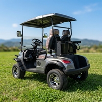 Nouvelle voiturette de golf électrique 2 places, vitesse 30-50 km/h, véhicule utilitaire, batteries au lithium-plomb 48V, autonomie 70-90 km, certifiée CEE, voiturette de club