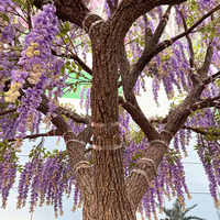Grand arbre artificiel de glycine bleue de 3 m, grand arbre fleuri pour la décoration intérieure, grand arbre artificiel à fleurs violettes pour les restaurants