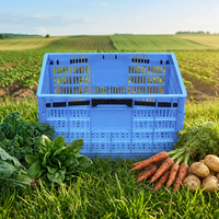Caisse en plastique pliable pour fruits, panier en plastique pour expédition, stockage, logistique, caisses en plastique pliables