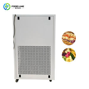 Machine de séchage par congélation sous vide de haute précision, sécheur par congélation sous vide pour aliments en petites séries - Product Image 6