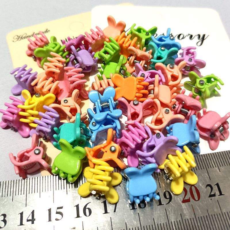 Bright macaron bunny-bulk