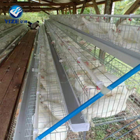 Cages Automatiques en Acier à Grandes Mailles pour l'Élevage de Poulets de Chair, Système de Cages Avicoles à Grande Échelle