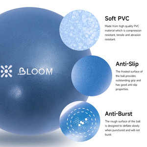 <span class=keywords><strong>Pelota</strong></span> <span class=keywords><strong>de</strong></span> <span class=keywords><strong>Yoga</strong></span> Personalizada <span class=keywords><strong>de</strong></span> 20/30 cm para Ejercicio, Mini Balón Pequeño <span class=keywords><strong>de</strong></span> Pilates <span class=keywords><strong>de</strong></span> PVC para Gimnasio y Fitness, <span class=keywords><strong>Pelota</strong></span> <span class=keywords><strong>de</strong></span> Estabilidad con Logotipo - Product Image 2