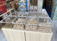 Distributeur de Grains et Noix en Vrac Écologique et Hermétique Sans BPA avec Couvercles Scellés Transparents pour Stockage Alimentaire Sec – Bacs de Rangement pour Aliments en Vrac