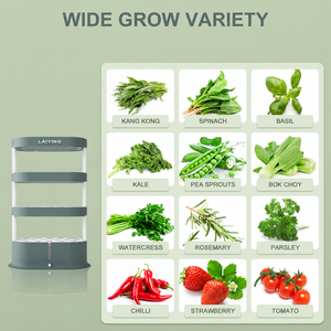 Armoire verticale hydroponique à 3 niveaux pour plantes d'intérieur, kit de culture sans sol à circulation autonome pour cuisine, maison et jardin - Product Image 3