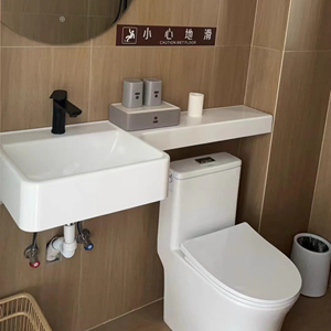 Évier de salle de bain compact <span class=keywords><strong>avec</strong></span> comptoir <span class=keywords><strong>intégré</strong></span> en SMC, gain de place au-dessus du <span class=keywords><strong>réservoir</strong></span> de toilettes - Product Image 1