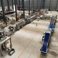 Industriële kleine schaal automatische friet- en chipslijn friteuse, voedselveilige roestvrij staal, capaciteit 300-1000kg/uur