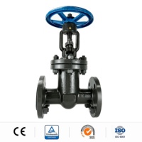 Katup Gerbang Flens Baja Cor Berlapis Logam Harga Pabrik 2 Inci PN16 Katup Gerbang Wog Baja Cor