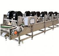 Fournisseur d'équipements industriels : Ligne de traitement continue du curcuma, machine de fabrication de poudre d'oignon et d'ail – Prix compétitif