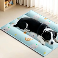 Coussin de lit pour animaux de compagnie personnalisé, dessin animé, été, doux, durable, résistant aux rayures, respirant, rafraîchissant, coussin de voyage