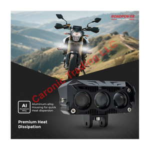 Roadpower nhỏ gọn dẫn ánh sáng sương mù với điều chỉnh gắn kết và rộng Chùm bảo hiểm phù hợp cho tất cả các loại xe và thách thức - Product Image 2