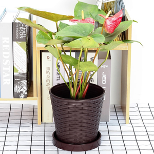 Pot de fleurs rond en <span class=keywords><strong>résine</strong></span> plastique imitation <span class=keywords><strong>tressée</strong></span> avec plateau, <span class=keywords><strong>jardinière</strong></span> d'intérieur européenne épaissie pour plantes succulentes et vertes, décoration d'intérieur - Product Image 5