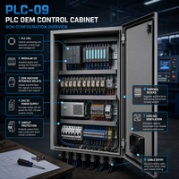 Gabinete de Control PLC OEM Personalizado con Comunicación Remota HMI IO y Programación para Integración de Equipos Industriales 24VDC 380V