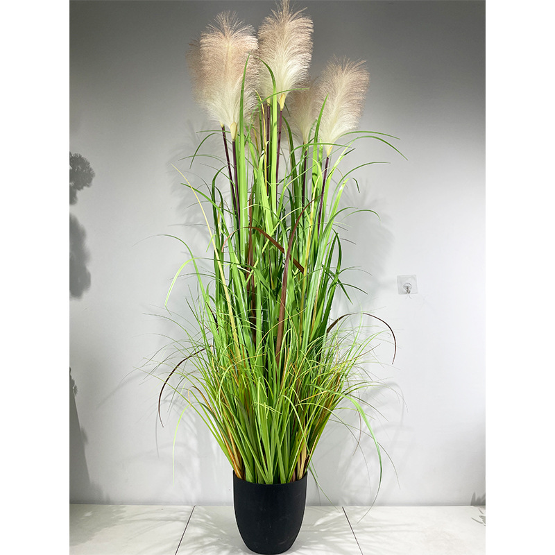 120cm 5 heads